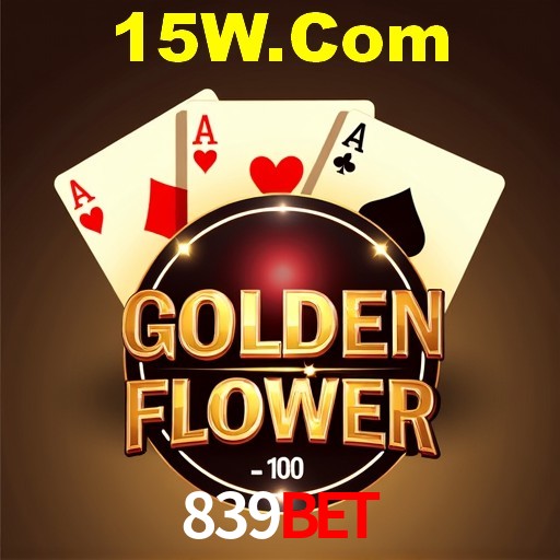 Interface Premium 839Bet